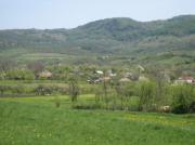 Vanzare teren intravilan in Drajna