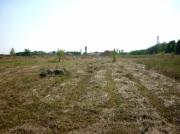Vanzare teren intravilan 2 ha in Paulesti pentru constructii