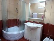 Vanzare vila 4 camere in Izvorani-Ciolpani