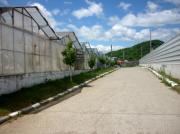 Vanzare HALA depozitare/productie in Filipestii de Padure/Prahova