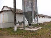 Vanzare ferma in Lipanesti