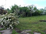 Vanzare teren intravilan in Boldesti-Scaeni
