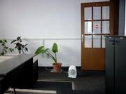 Inchiriere hala productie/depozitare+birouri in Ploiesti Sud