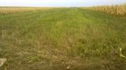 Vanzare teren extravilan 7300 mp