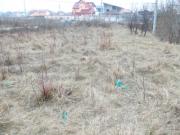 Vanzare teren intravilan in Bucov