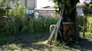 Vanzare teren intravilan 600 mp in Bucov