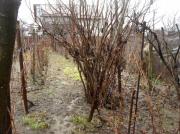 Vanzare casa Boldesti Scaieni