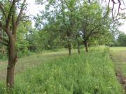 Vanzare teren intravilan in Teisani 