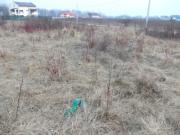 Vanzare teren intravilan in Bucov