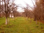 Vanzare teren intravilan in Valenii de Munte
