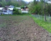 Vanzare teren intravilan in Surani