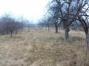 Vanzare teren intravilan in  zona  Valenii de Munte,sat Homoraciu