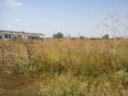 Vanzare teren zona industriala in Aricestii Rahtivani