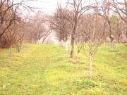Vanzare teren intravilan in Valenii de Munte