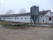 Vanzare ferma in Lipanesti