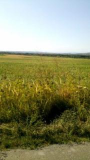 Vanzare teren intravilan 17500 mp in Bucov
