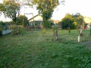Vanzare casa 5 camere in Campina