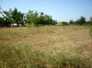 Vanzare teren intravilan 2 ha in Paulesti pentru constructii