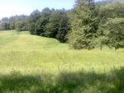 Vanzare teren intravilan in Cheia
