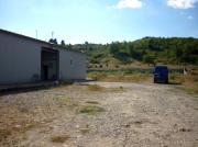 Vanzare teren+hala in Filipestii de Padure