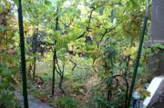 Vanzare casa 3 camere in Baicoi