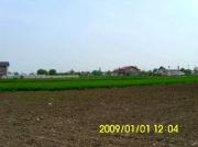 Vanzare teren in Tirgsorul Vechi