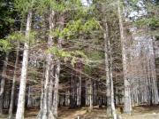 Vanzare teren intravilan Cheia