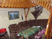 Vanzare casa 5 camere Gura Vitioarei