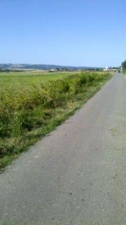 Vanzare teren intravilan 17500 mp in Bucov