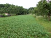 Vanzare/schimb teren intravilan in Valenii de Munte