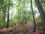Vanzare teren intravilan in Valenii de Munte