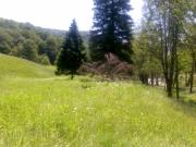 Vanzare teren intravilan in Cheia