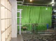 Inchiriere spatiu comercial ultracentral