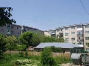 Vanzare teren pretabil constructie bloc in Ploiesti Malu Rosu