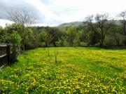 Teren intravilan ideal casa de vacanta, in Com. Chiojdu, jud. Buzau
