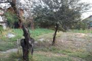 Vanzare teren intravilan 869 mp in Bucov