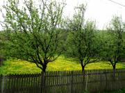 Teren intravilan ideal casa de vacanta, in Com. Chiojdu, jud. Buzau