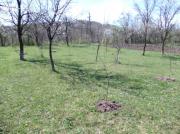 Vanzare teren intravilan in Predelul Sarari, zona Valenii de Munte