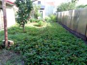 Vanzare casa cu teren mare in Ploiesti, zona Republicii