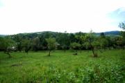 Vanzare teren intravilan in Surani zona ultracentrala