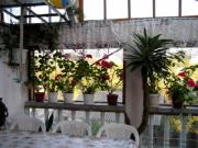 Vanzare casa 3 camere in Baicoi-Tintea