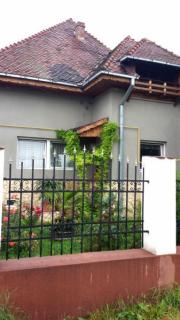 Vanzare vila stil conac in Bucov